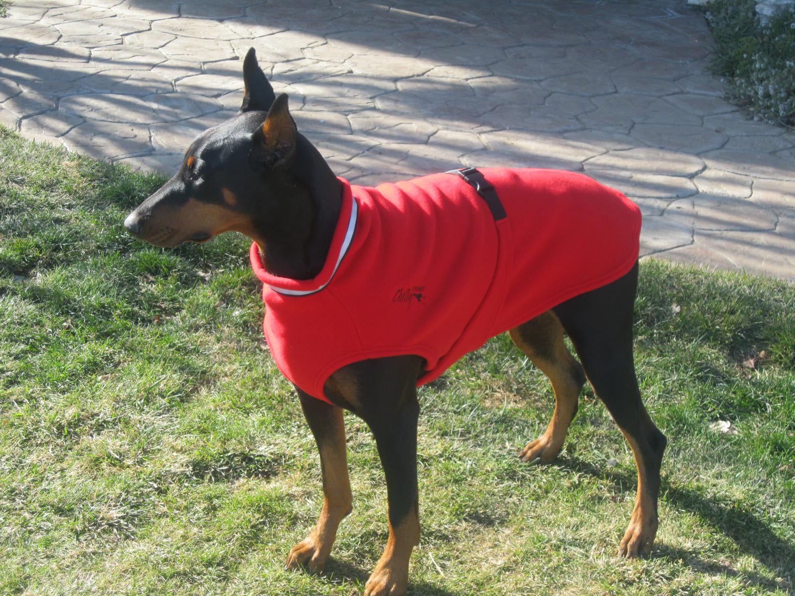 dog sweaters for dobermans