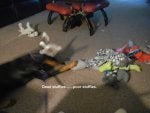 stuffies3.jpg