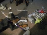poorstuffies5.jpg